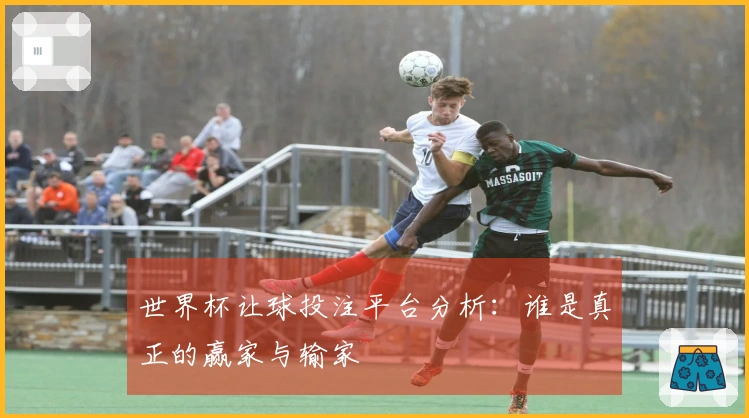 世界杯让球投注平台分析：谁是真正的赢家与输家