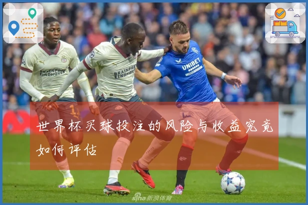 世界杯买球投注的风险与收益究竟如何评估