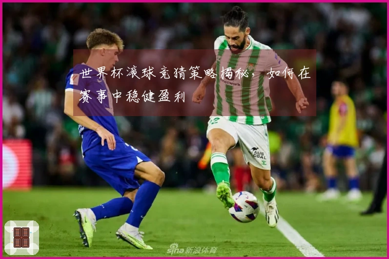 世界杯滚球竞猜策略揭秘，如何在赛事中稳健盈利