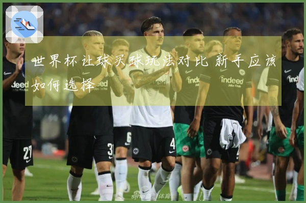 世界杯让球买球玩法对比 新手应该如何选择