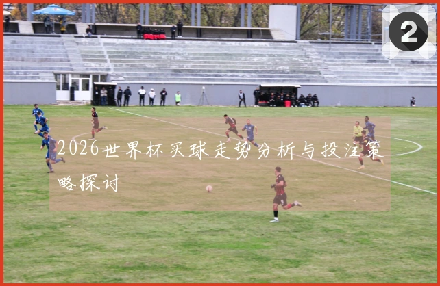 2026世界杯买球走势分析与投注策略探讨