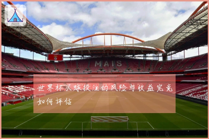 世界杯买球投注的风险与收益究竟如何评估