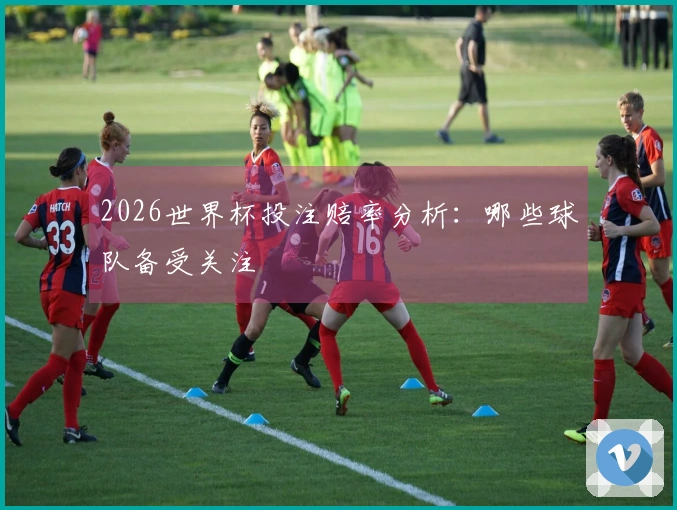 2026世界杯投注赔率分析：哪些球队备受关注